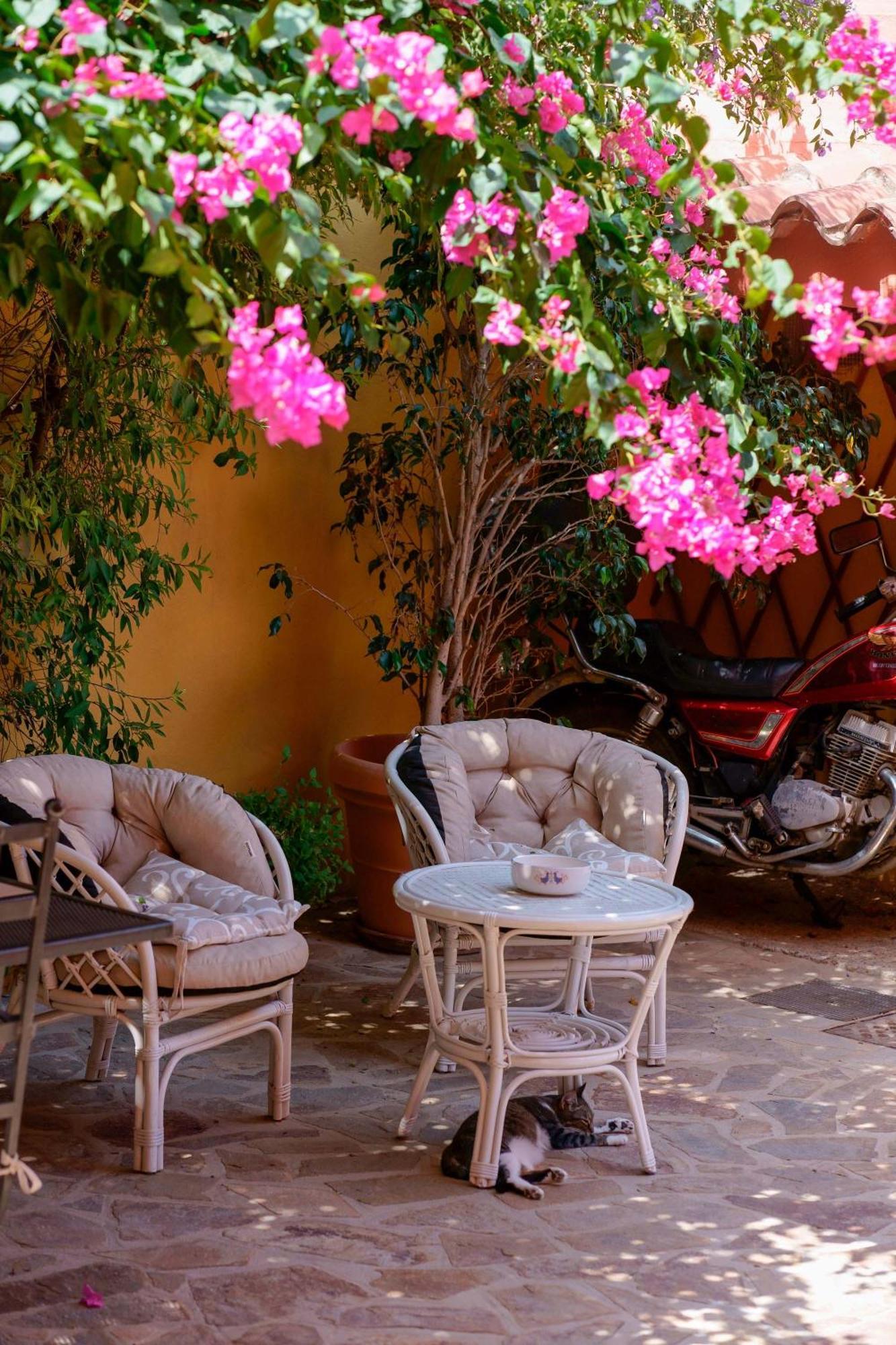 Il Piccolo Giardino Rooms & Breakfast Виласимиус Екстериор снимка