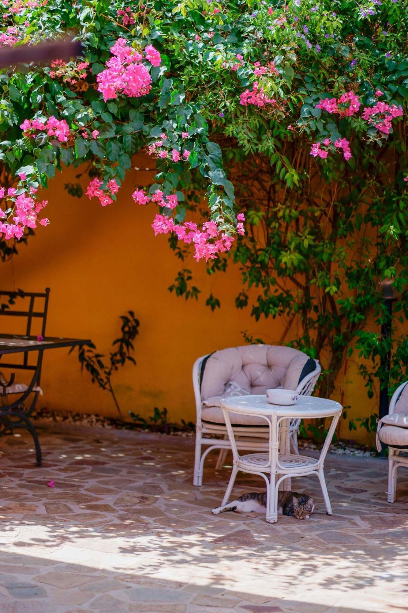 Il Piccolo Giardino Rooms & Breakfast Виласимиус Екстериор снимка