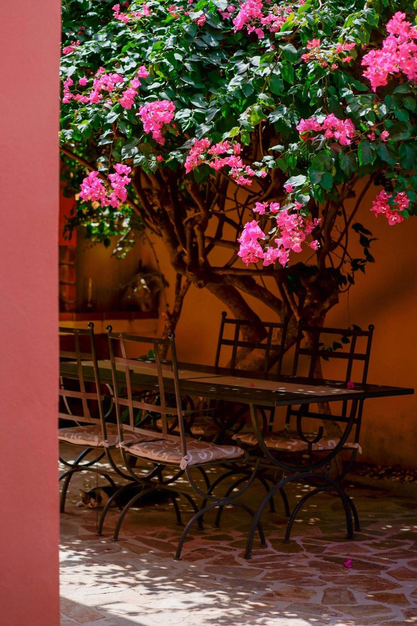 Il Piccolo Giardino Rooms & Breakfast Виласимиус Екстериор снимка