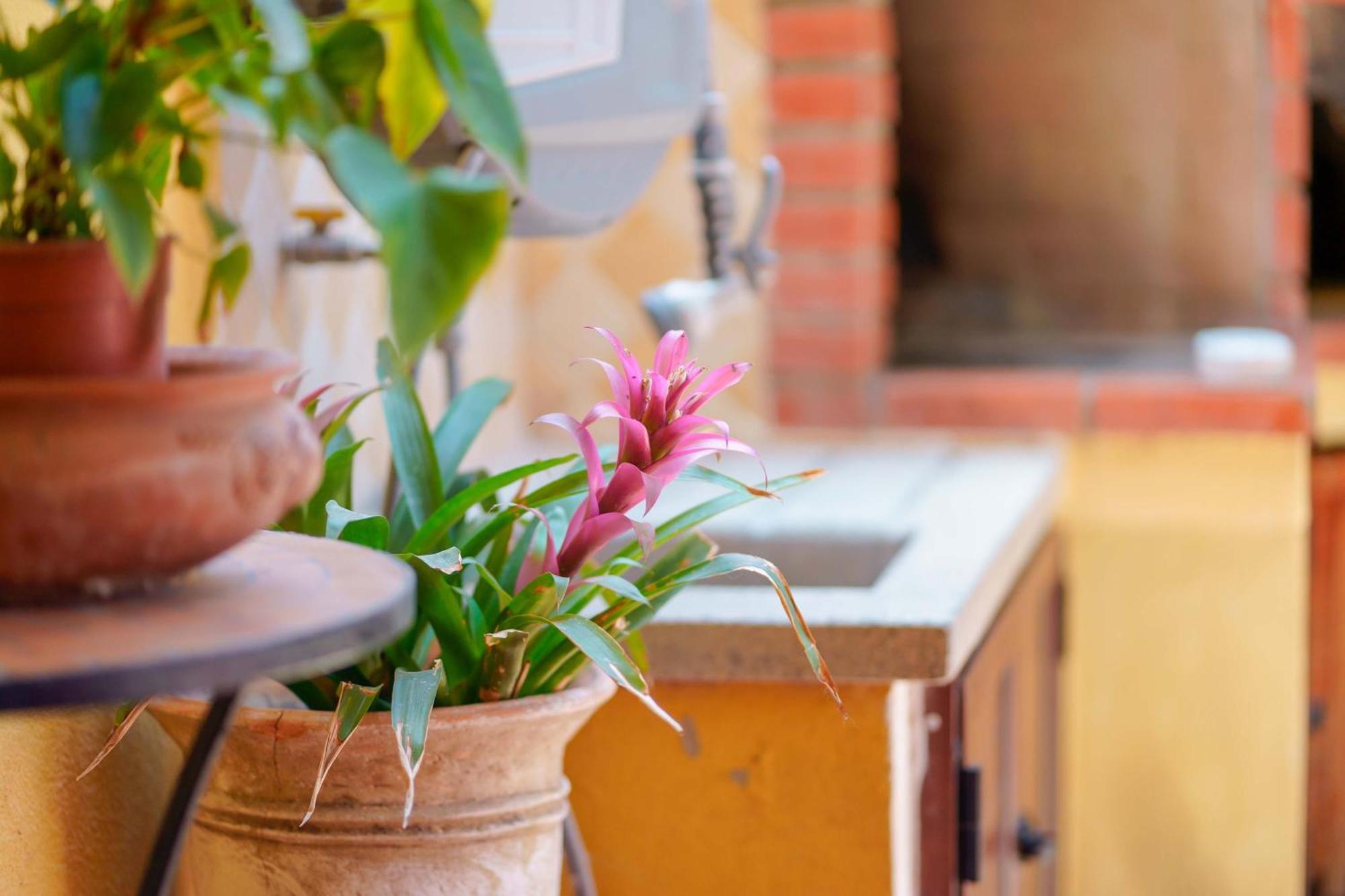 Il Piccolo Giardino Rooms & Breakfast Виласимиус Екстериор снимка